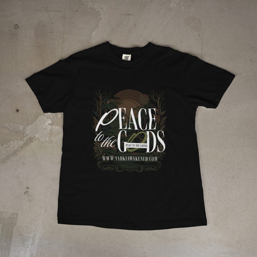 Peace to the gods, Peace to the earths Black tee